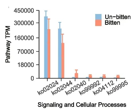 Open access visualization of Bar Plot, Error Bars, Clustered, KEGG Pathways, Skin Microbiome