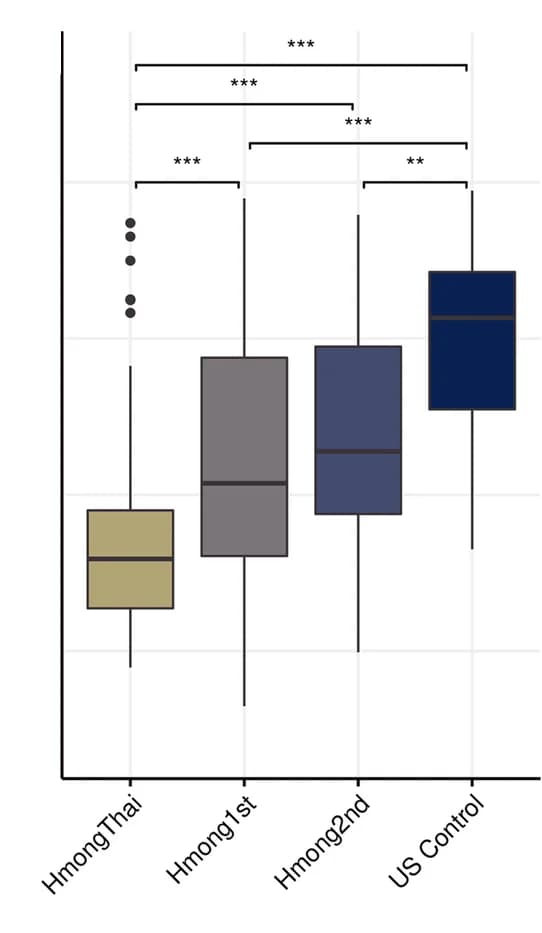 Open access visualization of Box Plot, Bacteroides, Prevotella, B/P ratio, Generation