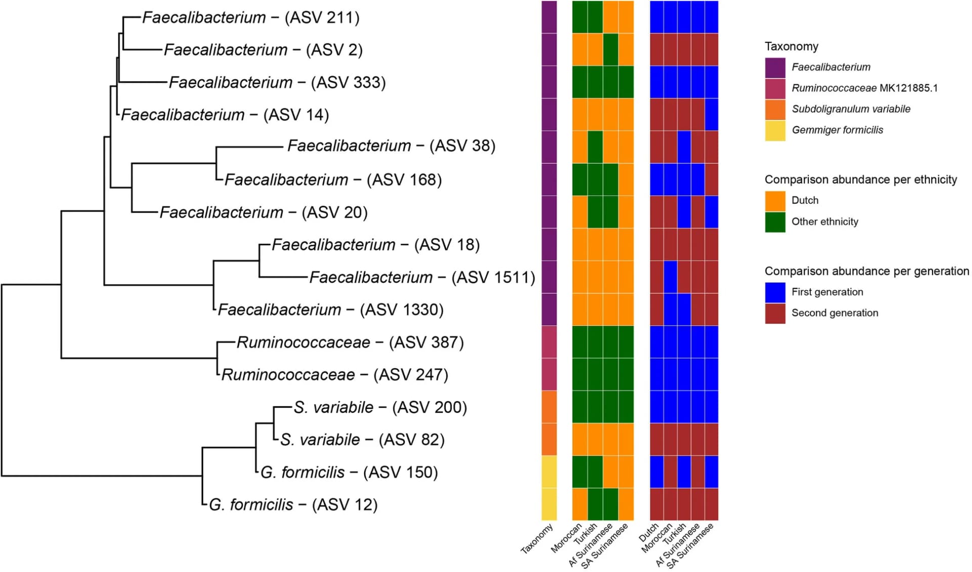 Open access visualization of Heatmap, Network, Faecalibacterium ASVs, Phylogenetic Tree, BLASTN Search