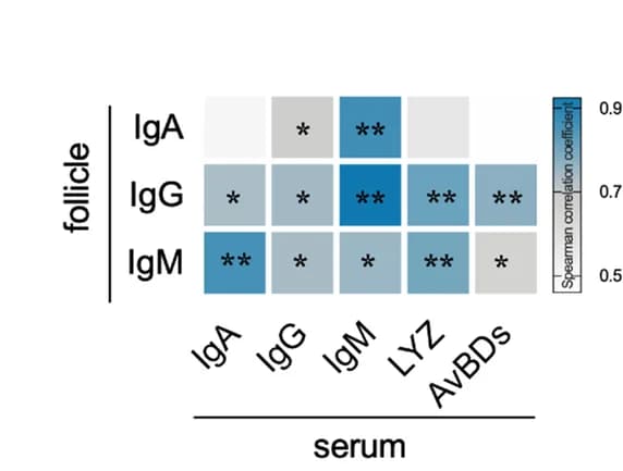 Open access visualization of Heatmap, Immune Factors, Follicles, Serum, Spearman Correlation
