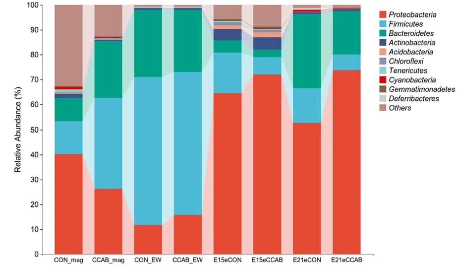 Open access visualization of Stacked Bar Plot, Phylum, Magnum, Egg White, Embryonic Gut