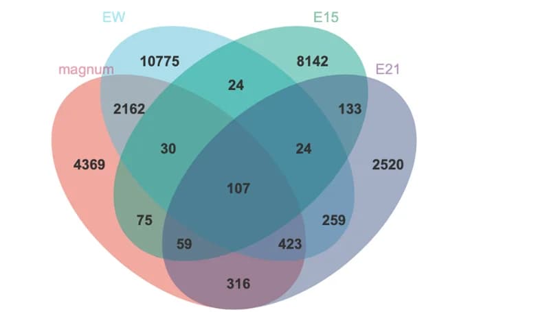 Open access visualization of Venn Diagram, Taxa, Sample Types, Magnum, Egg White