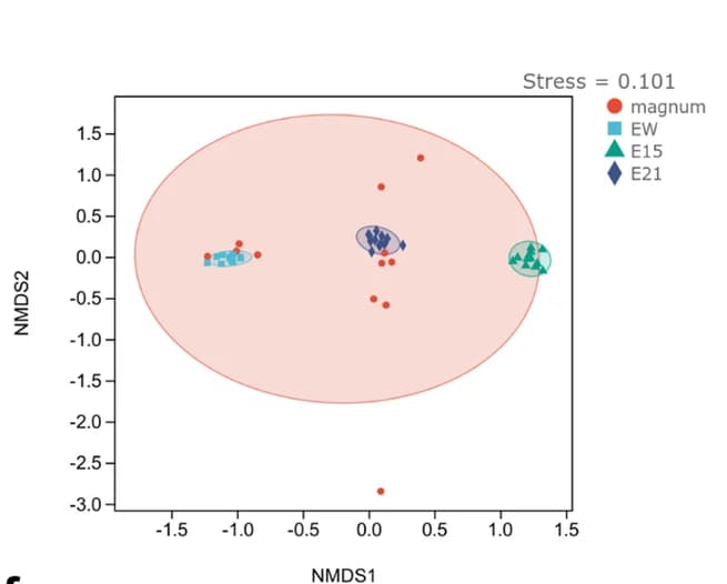 Open access visualization of Scatter Plot, Beta Diversity, Microbes, Magnum, Egg White