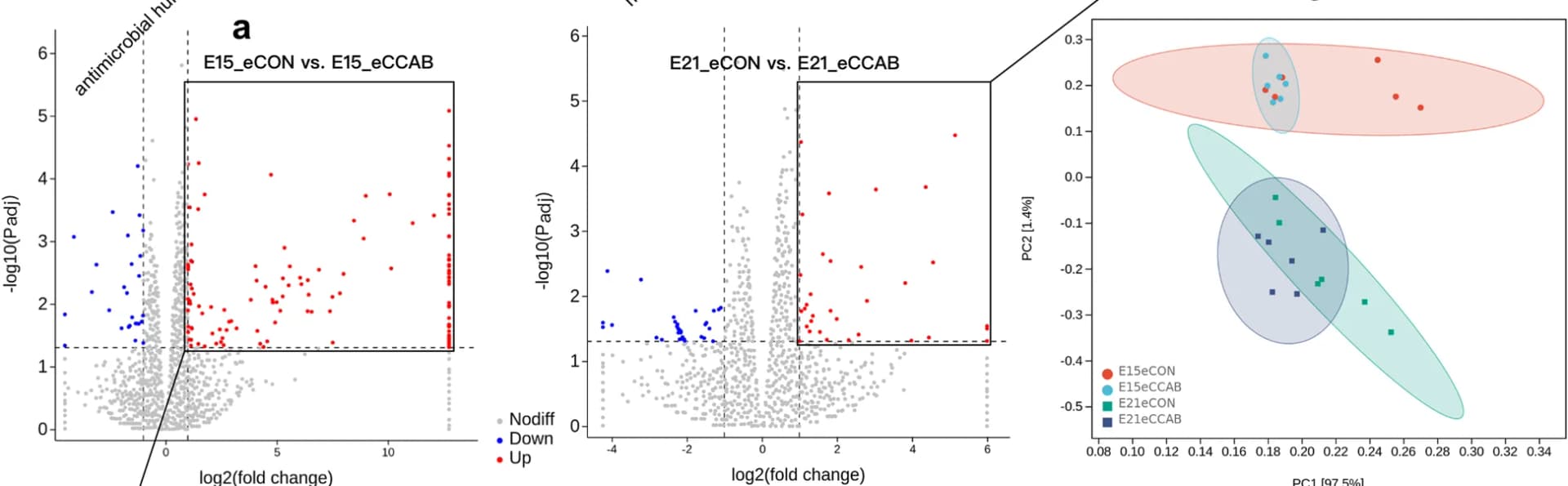Open access visualization of Volcano Plot, Scatter Plot, PCA, GO Terms, Gene Ontology