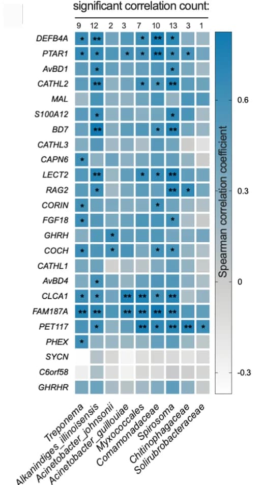 Open access visualization of Heatmap, Spearman Correlation, DEGs, Taxa, E21