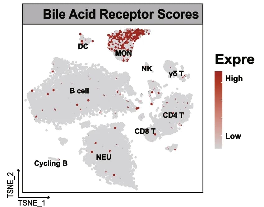 Open access visualization of Scatter Plot, UMAP, T-SNE Plot, Bile Acid Receptors, Immune Cells