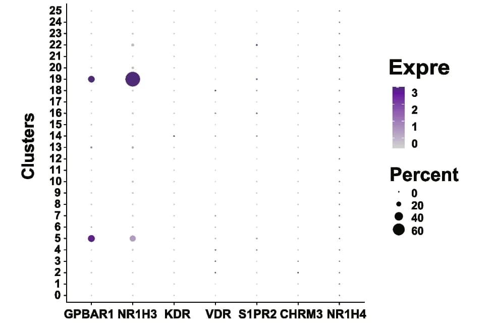 Open access visualization of Scatter Plot, Bubble Plot, Bile Acid Receptor Genes, Cell Cluster, Gene Expression