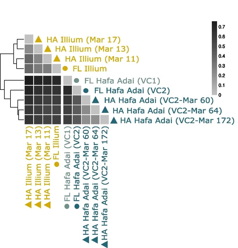 Open access visualization of Heatmap, Clustered, Fixation Index, Genetic Differentiation, Free-living Symbionts