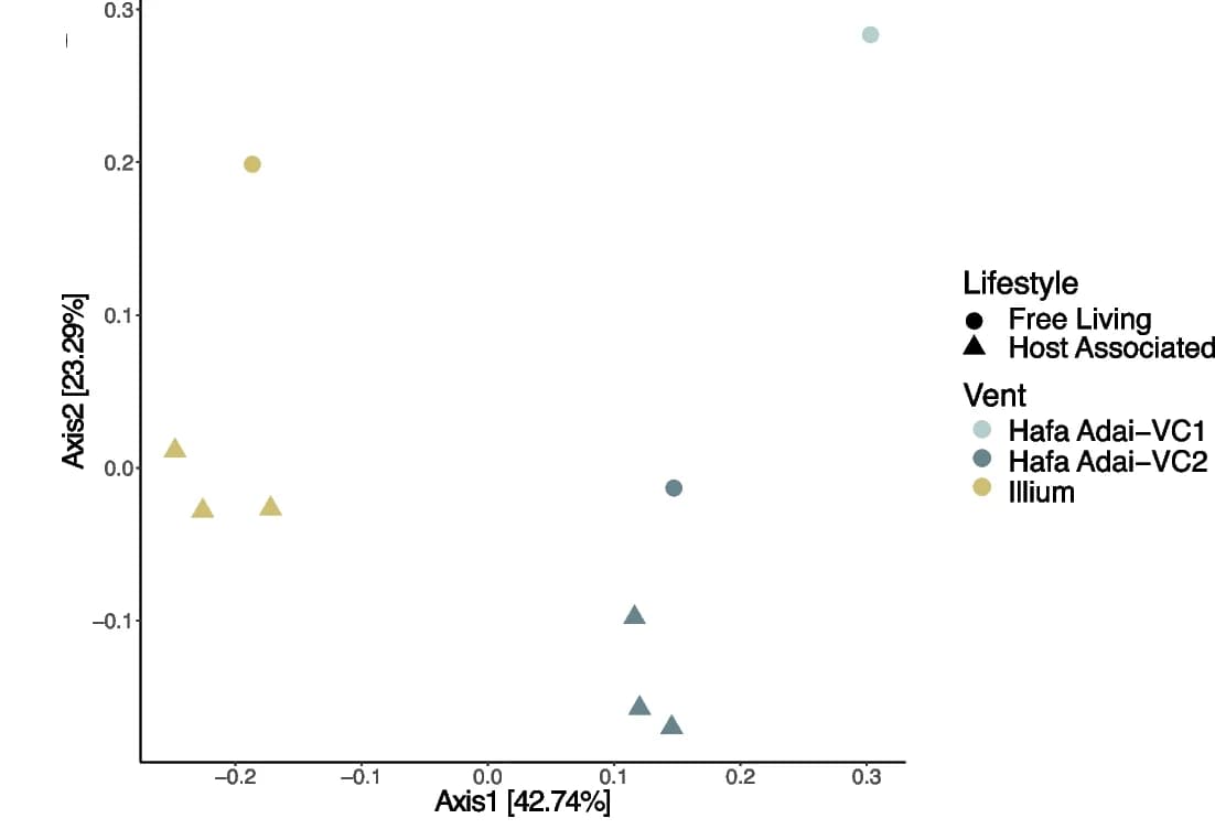 Open access visualization of Scatter Plot, PCA, UMAP, PCoA Plot, Bray-Curtis Distance