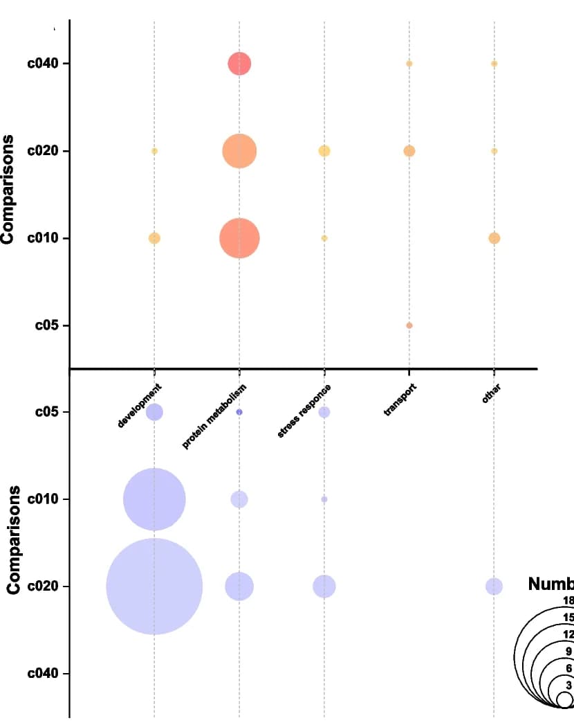 Open access visualization of Bubble Plot, Coral, Transcriptome, GSEA, Nitrate Concentrations