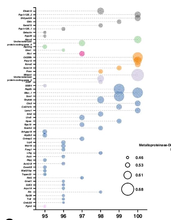 Open access visualization of Bubble Plot, GLMMLasso, Coral Transcript, Symbiodiniaceae Photosynthesis, Correlation