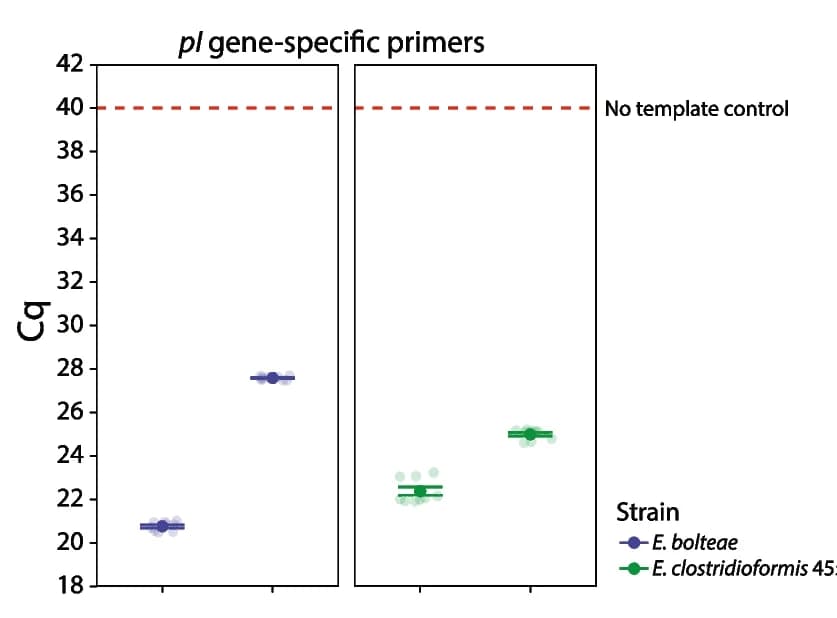 Open access visualization of Scatter Plot, Error Bars, Inovirus Virions, In Vitro Cultures, Enterocloster Strains