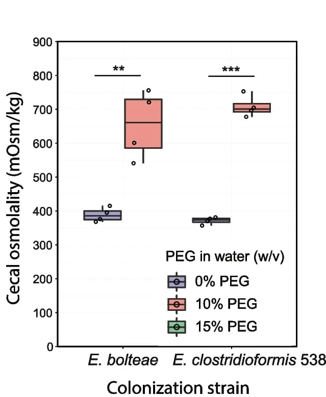 Open access visualization of Box Plot, Scatter Plot, Cecal Contents, PEG Treatment, Cecal Osmolality