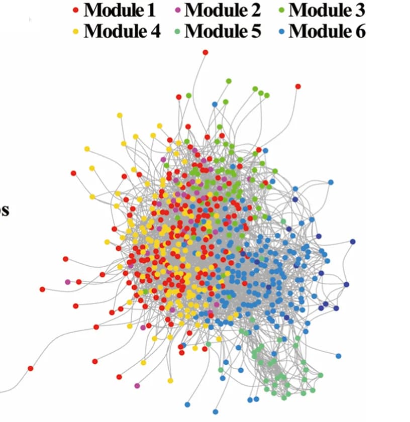 Open access visualization of Network, Activated Sludge, Network Analysis, OTUs, Prevalence