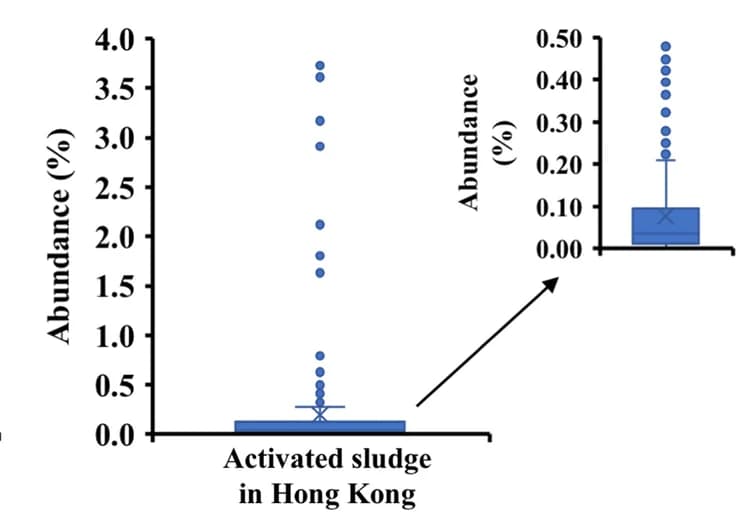 Open access visualization of Box Plot, Scatter Plot, Abundance Distribution, High-quality Genomes, Activated Sludge