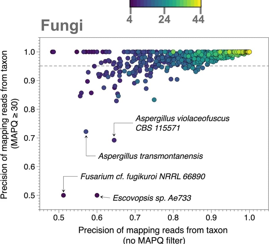 Open access visualization of Scatter Plot, Read Mapping, MAPQ Filter, Fungi, Precision