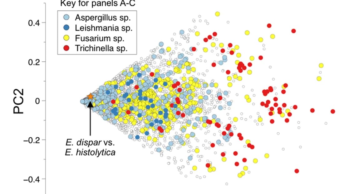 Open access visualization of Scatter Plot, PCA, Principal Component Analysis, Microbial Eukaryote Species, Taxa