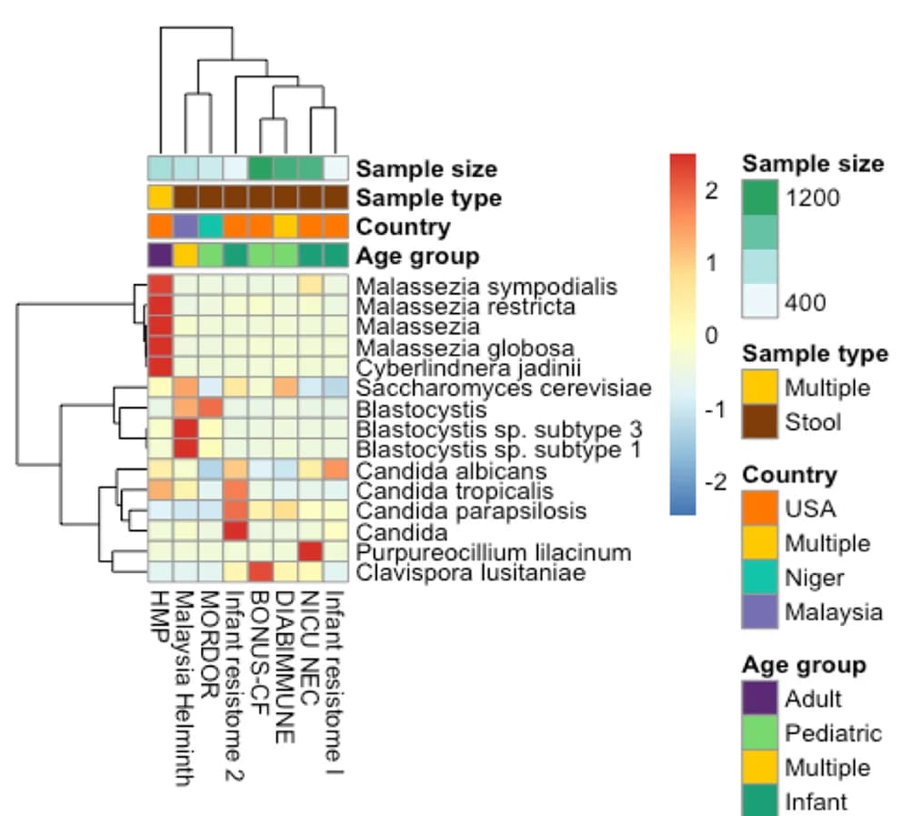Open access visualization of Heatmap, Clustered, Eukaryotes, Metagenomic Datasets, MicrobiomeDB