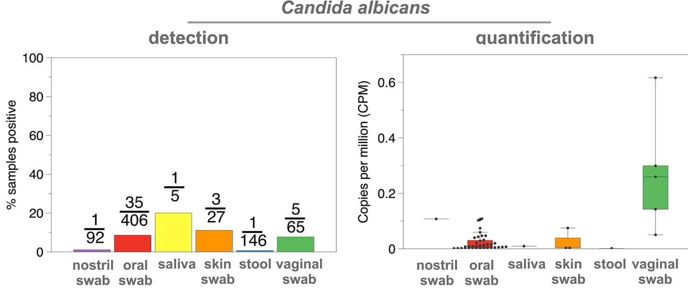 Open access visualization of Bar Plot, Box Plot, Scatter Plot, Candida Albicans, Detection