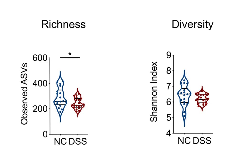 Open access visualization of Violin Plot, Alpha-Diversity, Gut Microbiota, Control Mice, DSS-treated Mice