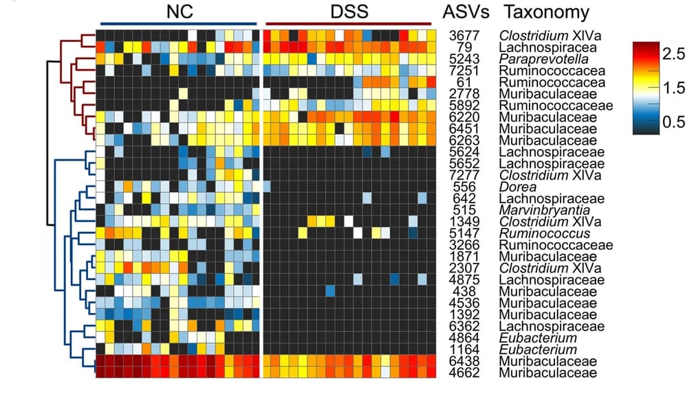 Open access visualization of Heatmap, Clustered, ASVs, DSS treatment, sPLS-DA models