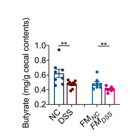 Open access visualization of Bar Plot, Error Bars, Butyrate content, Cecum, Mice