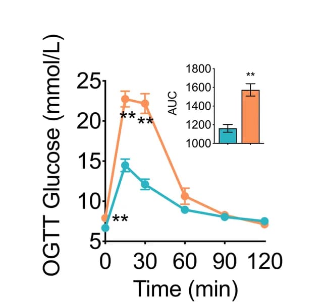 Open access visualization of Line Plot, Error Bars, Bar Plot, Blood glucose, Mice