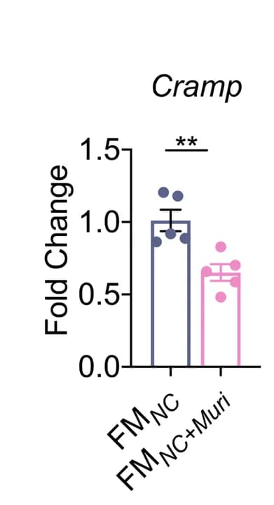 Open access visualization of Bar Plot, Error Bars, Cramp, Pancreas, Mice