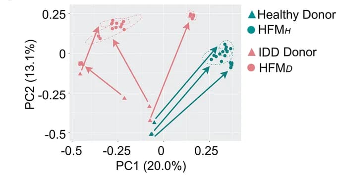 Open access visualization of Scatter Plot, PCA, Gut Microbiota, IDD Patients, Healthy Donors