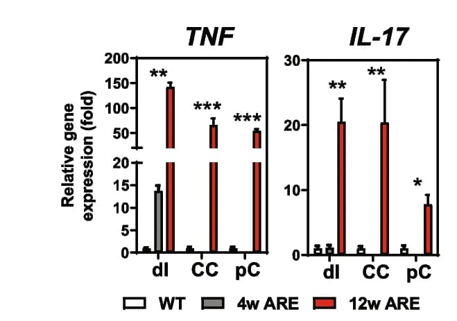Open access visualization of Bar Plot, Error Bars, Clustered, Tnf transcript levels, Il-17A transcript levels