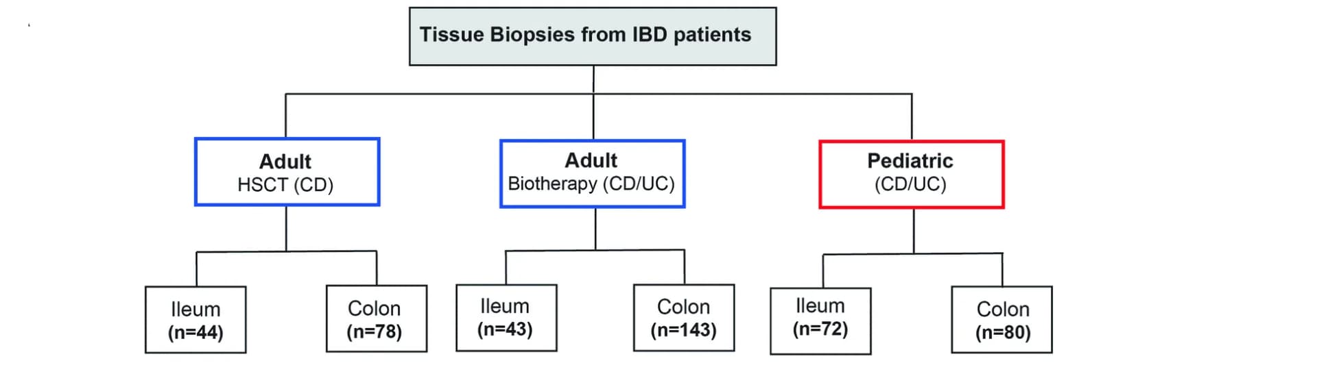 Open access visualization of Workflow, Flowchart, Human cohorts, SFB, IBD