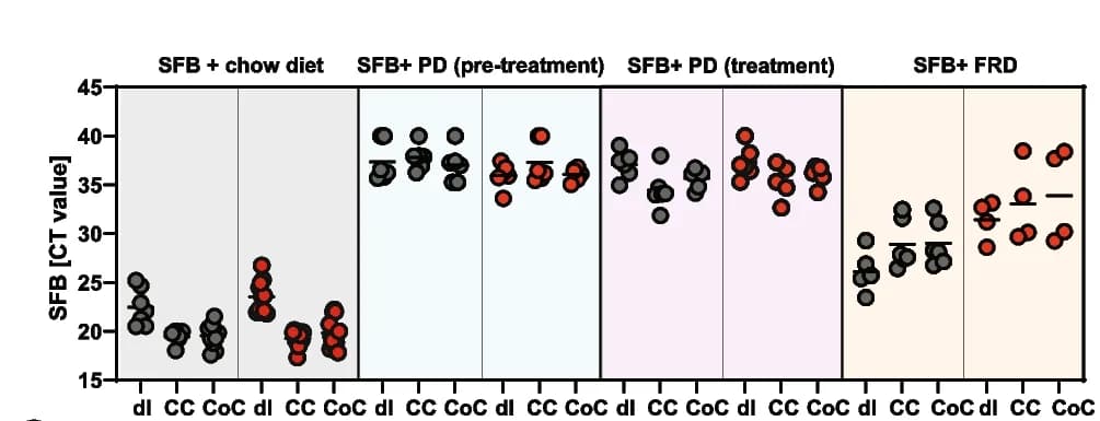 Open access visualization of Scatter Plot, SFB Abundance, Ileal Contents, Cecal Contents, Colonic Contents