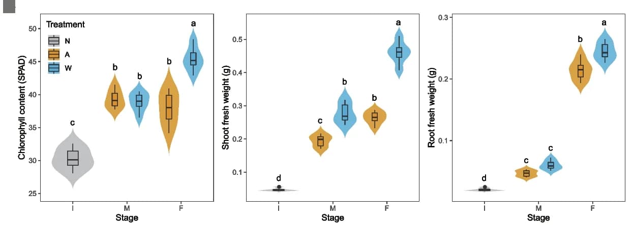 Open access visualization of Violin Plot, Box Plot, Violin Plots, Licorice Seedling, Chlorophyll Content