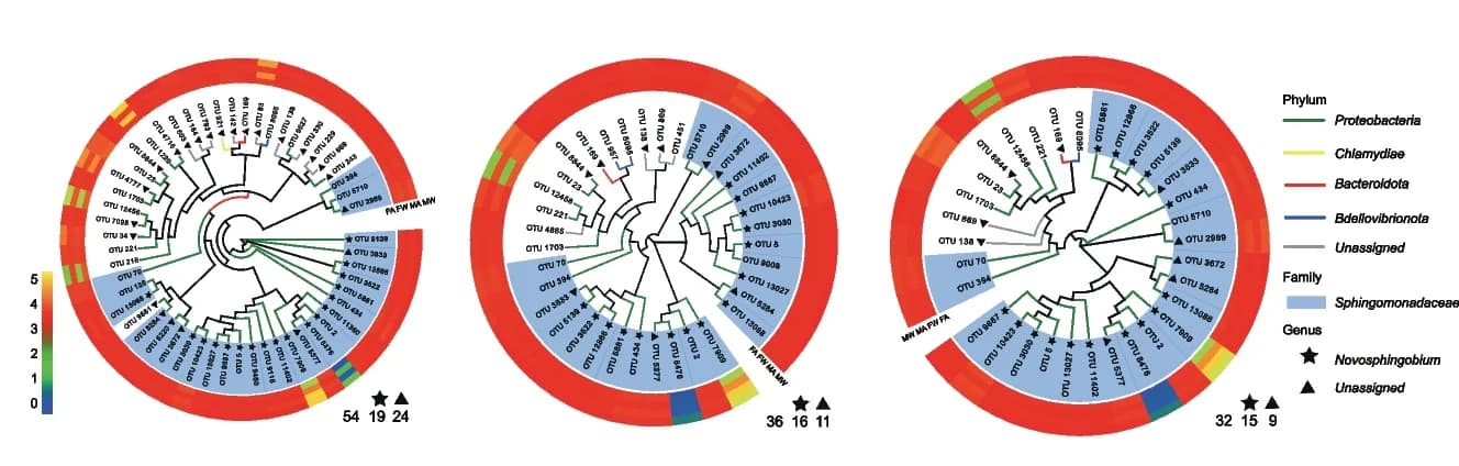 Open access visualization of Network, Heatmap, Phylogenetic Trees, Relative Abundance, Heatmaps