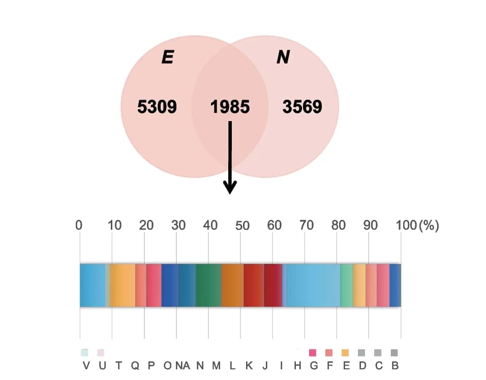 Open access visualization of Venn Diagram, Bar Plot, Functional Enrichment, Core Genomes, Clusters of Orthologous Groups