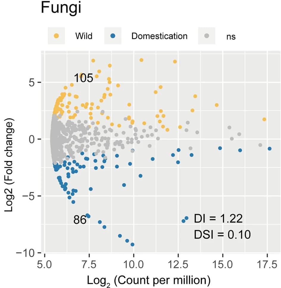 Open access visualization of Scatter Plot, Volcano Plot, Rhizosphere, Bacterial Microbiome, Fungal Microbiome