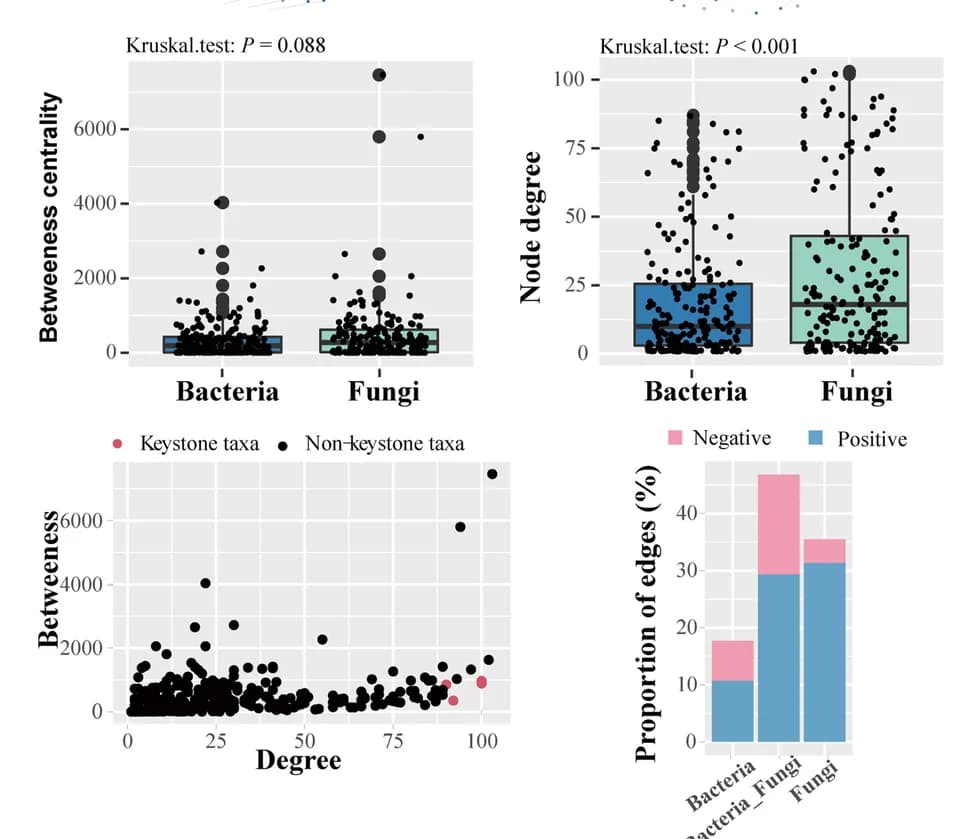 Open access visualization of Box Plot, Scatter Plot, Bar Plot, Box graphs, Node-Level Topological Features