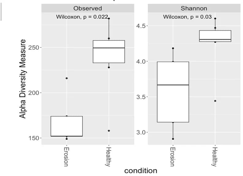 Open access visualization of Box Plot, Gene Sequences, Erosion, Healthy, Alpha Diversity