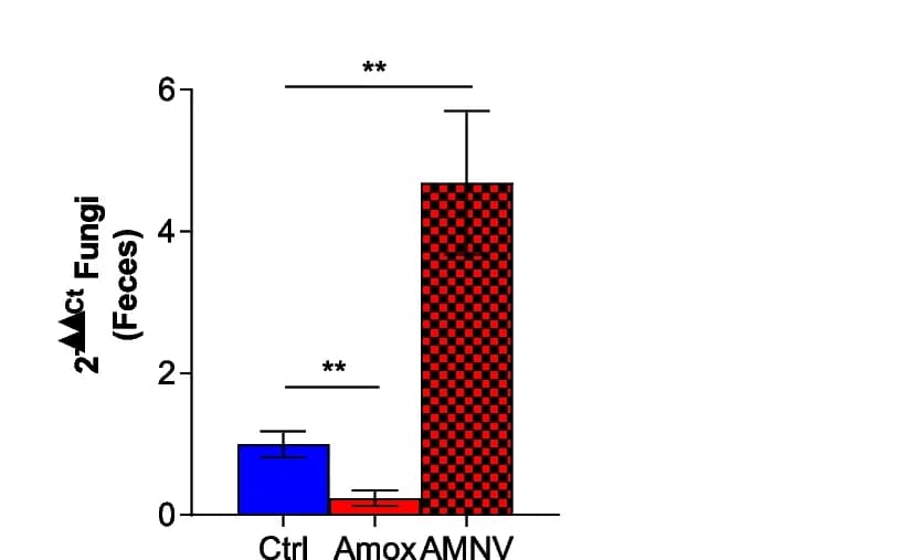 Open access visualization of Bar Plot, Error Bars, Fungi, Feces, qPCR