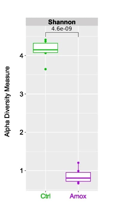 Open access visualization of Box Plot, Scatter Plot, Shannon Index, Alpha Diversity, Bacterial Microbiota