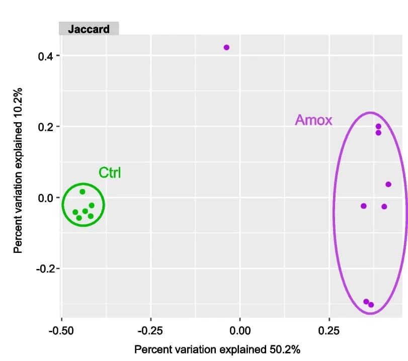 Open access visualization of Scatter Plot, PCA, Beta Diversity, Principal Coordinate Analysis, Jaccard Distances