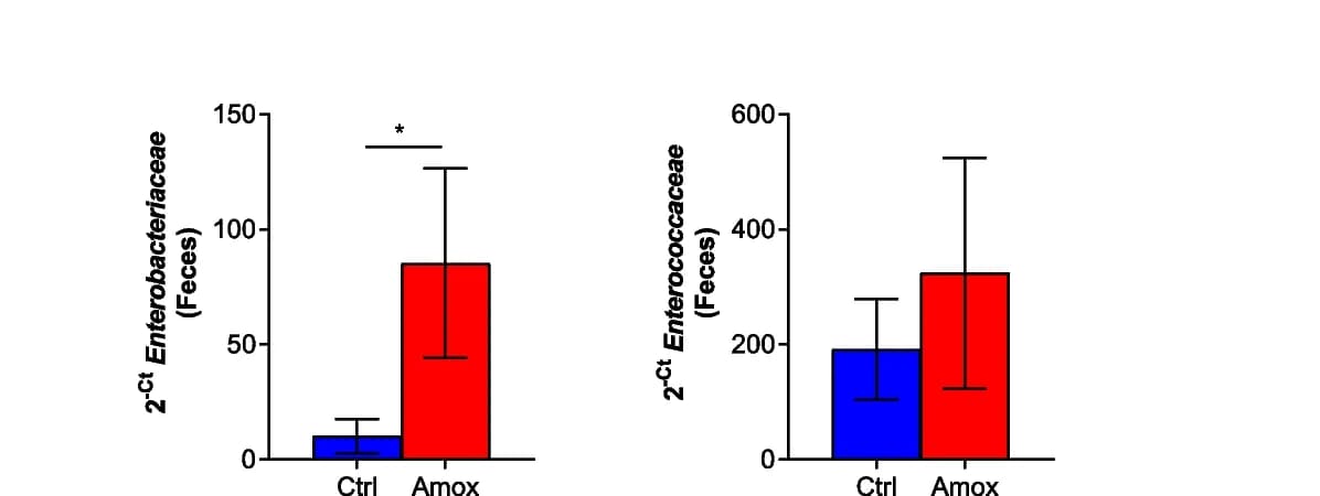 Open access visualization of Bar Plot, Error Bars, Enterobacteriaceae, Enterococcaceae, Feces