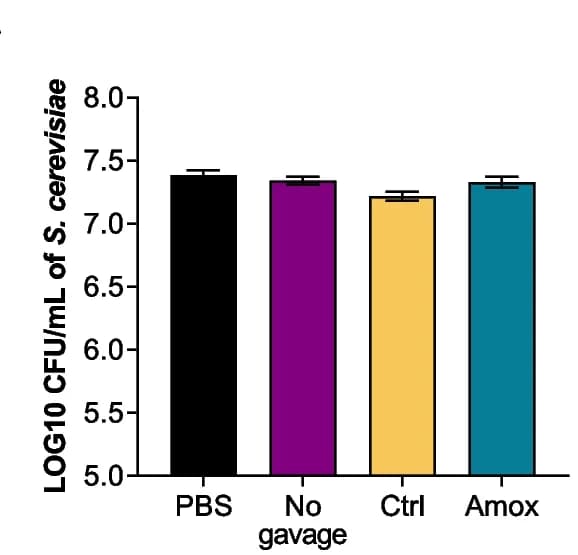 Open access visualization of Bar Plot, Error Bars, Fungal Quantity, Mixed Cultures, Saccharomyces cerevisiae