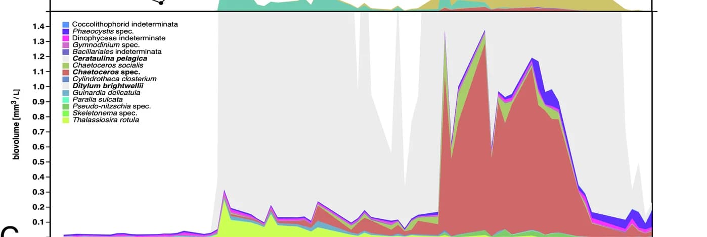 Open access visualization of Line Plot, Line Step, Algae, Phytoplankton
