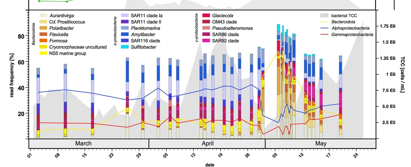 Open access visualization of Stacked Bar Plot, Line Plot, Bacteria, Bacterial Clades, Metagenomics