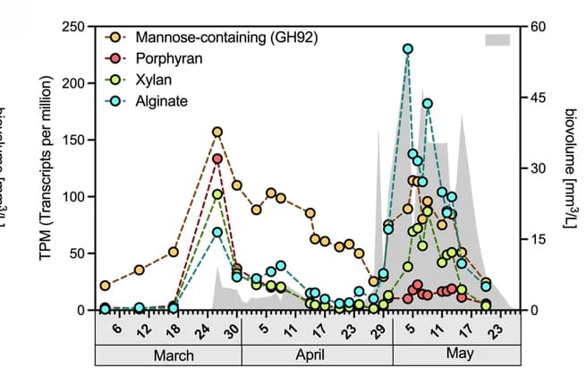 Open access visualization of Line Plot, Density Plot, Polysaccharide, Mannose, Porphyran