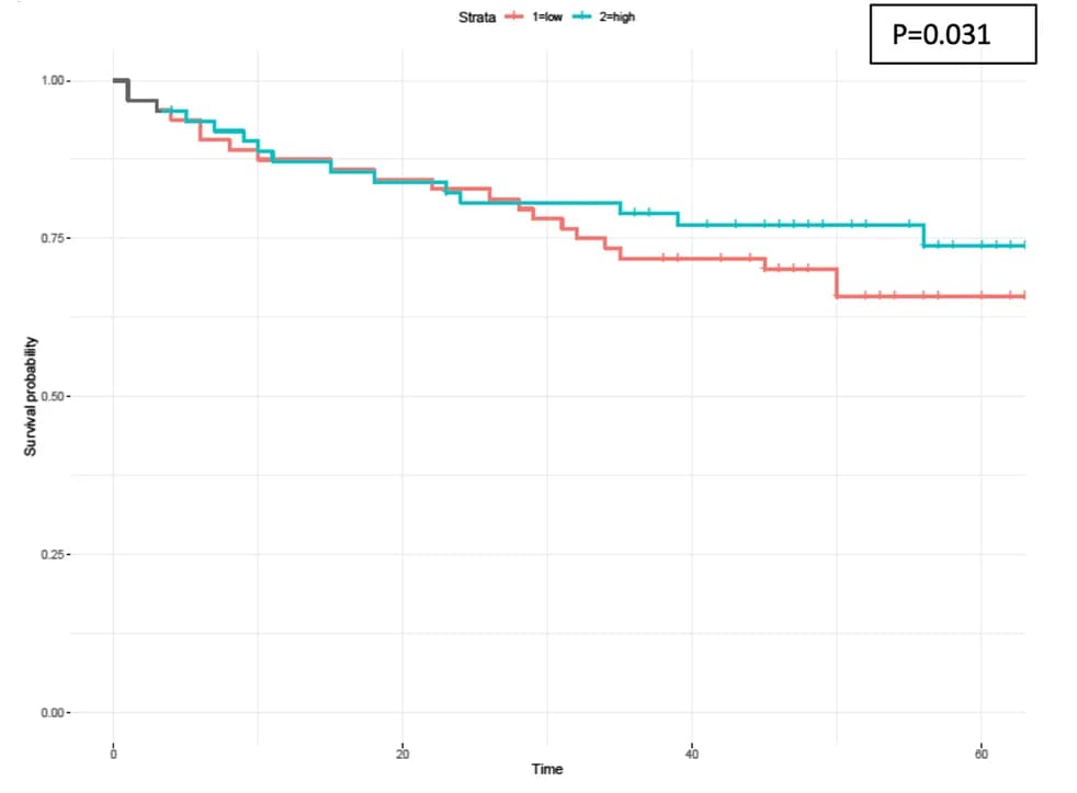 Open access visualization of Survival Curve, Line Step, Kaplan-Meier Curve, Disease-Free Survival, Colorectal Cancer