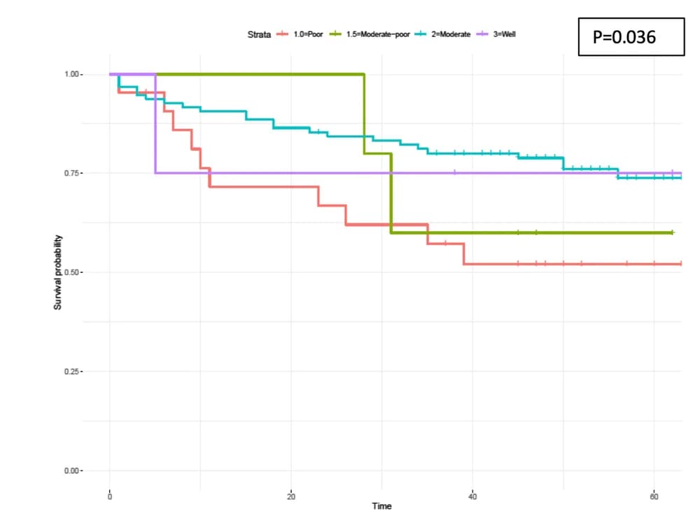 Open access visualization of Survival Curve, Line Step, Kaplan-Meier Curve, Disease-Free Survival, Prognostic Factors