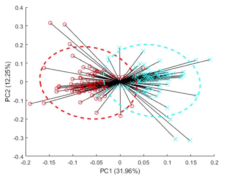 Open access visualization of Scatter Plot, PCA, Principal Components Analysis, Metabolomic Data, Tumor