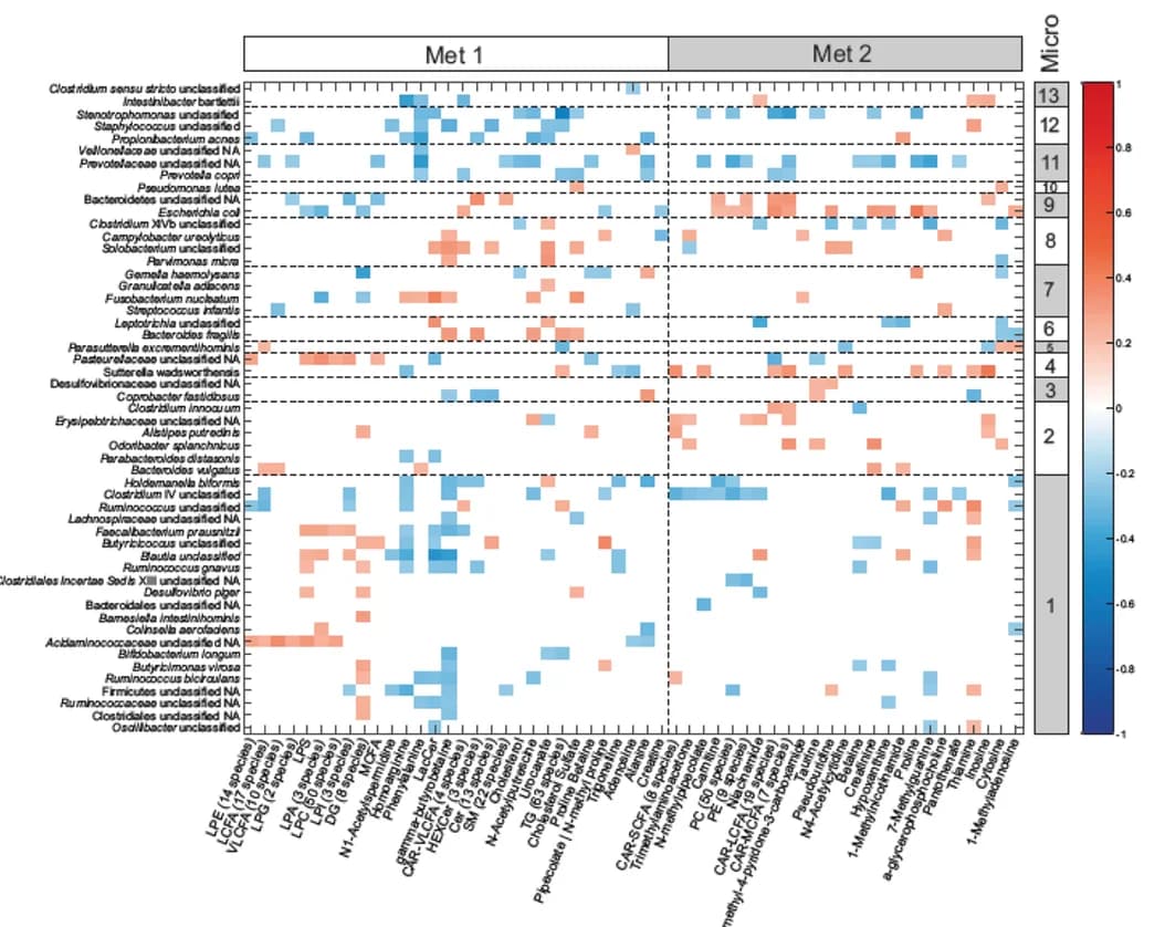 Open access visualization of Heatmap, Microbiota, Metabolites, Correlation, Clustering